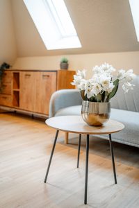 Pension Elisa Zimmer 1